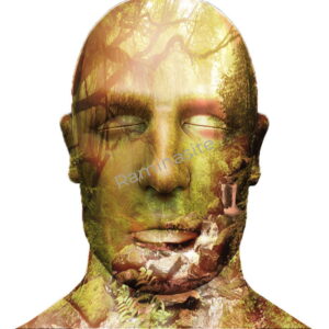 blend-head1