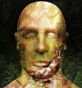 blend-head2